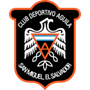 team-logo