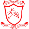 team-logo