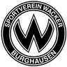 team-logo